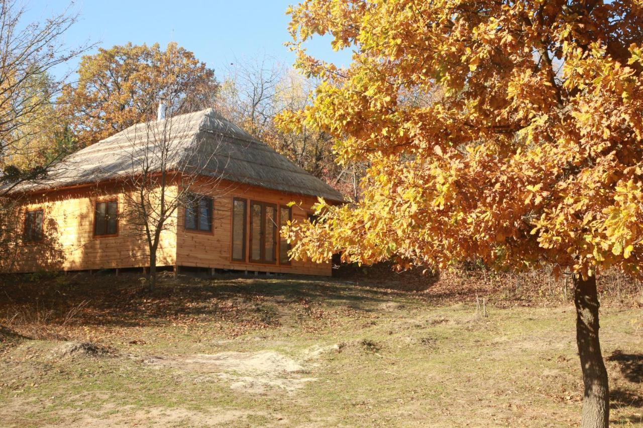 Козацька Фортеця Pliskachevka Esterno foto