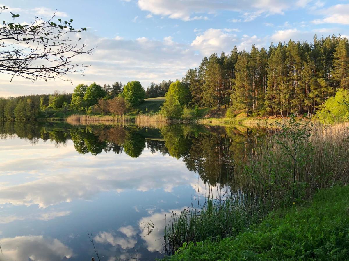 Козацька Фортеця Pliskachevka Esterno foto