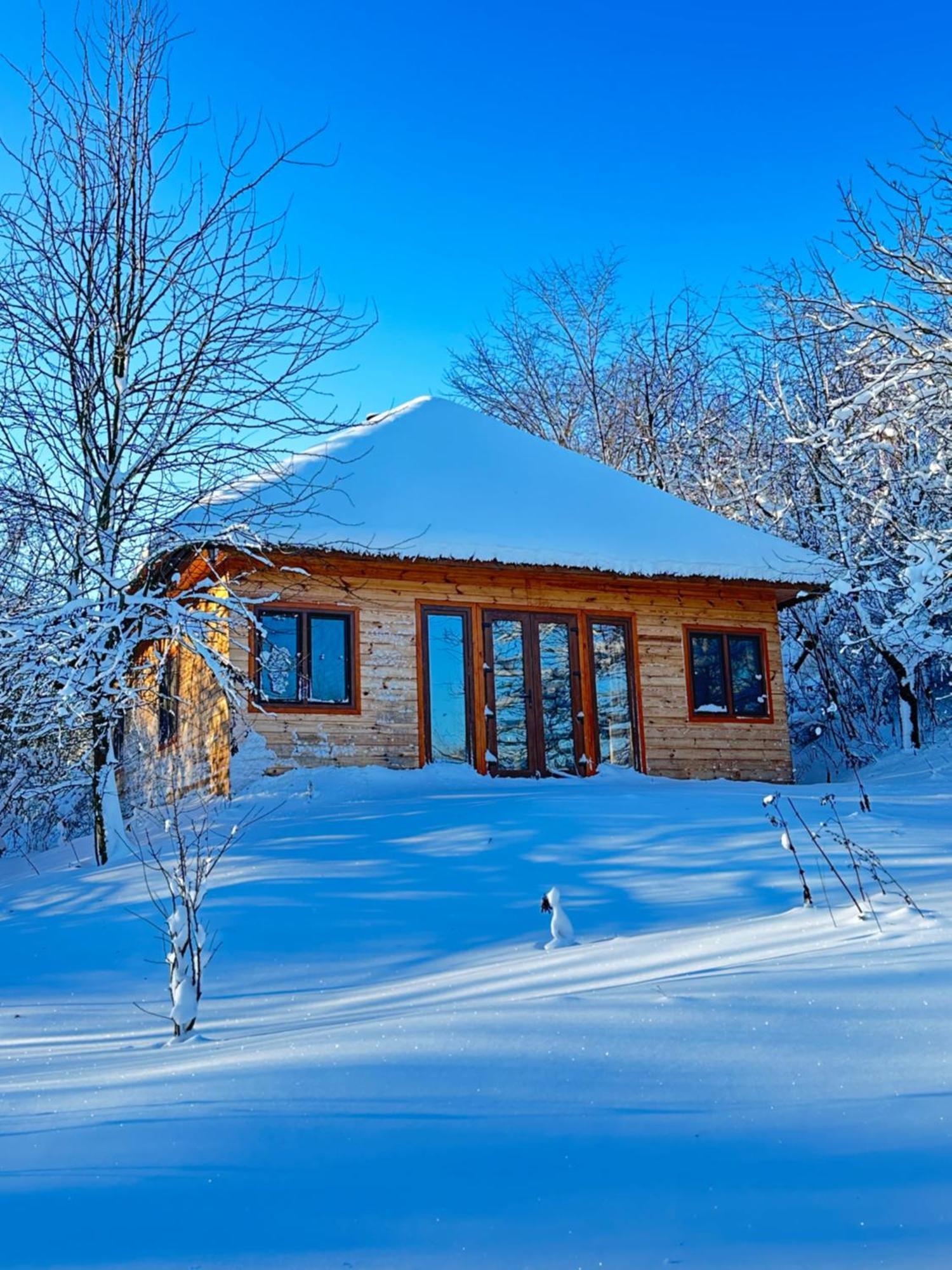 Козацька Фортеця Pliskachevka Esterno foto